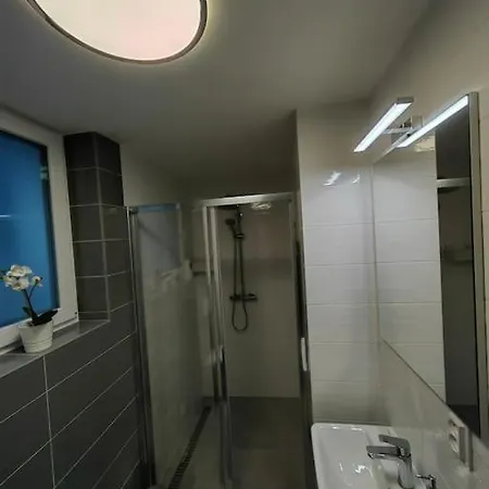 Haas Apartments Slepa, City Centre, Parking, Courtyard Brno Exterior photo