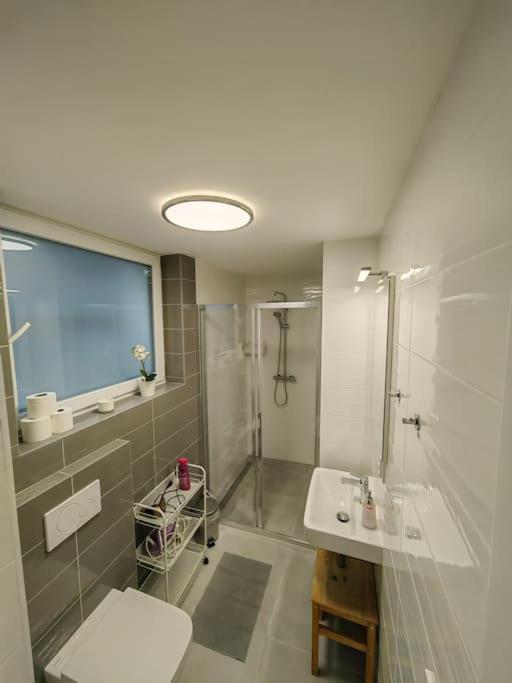 Haas Slepa, Centre, Parking, Courtyard Apartment *