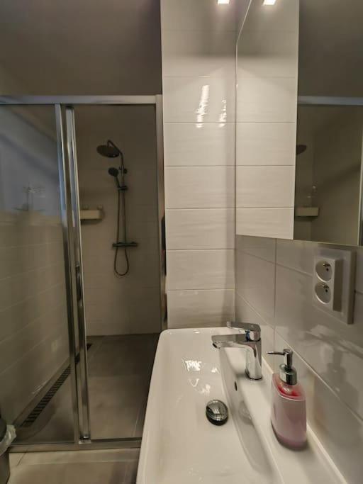 Haas Slepa, Centre, Parking, Courtyard Apartment Brno