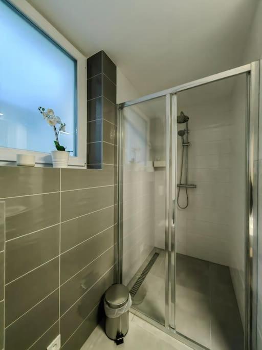 Haas Slepa, Centre, Parking, Courtyard Apartment Brno