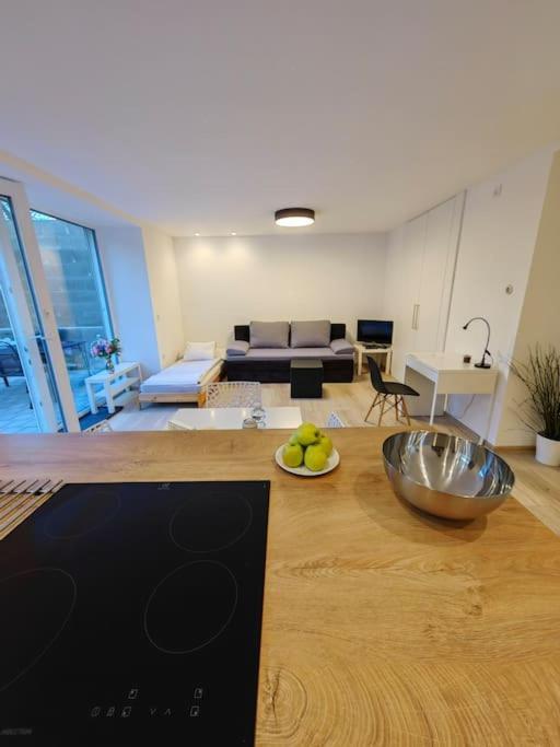 Haas Slepa, Centre, Parking, Courtyard Apartment Brno